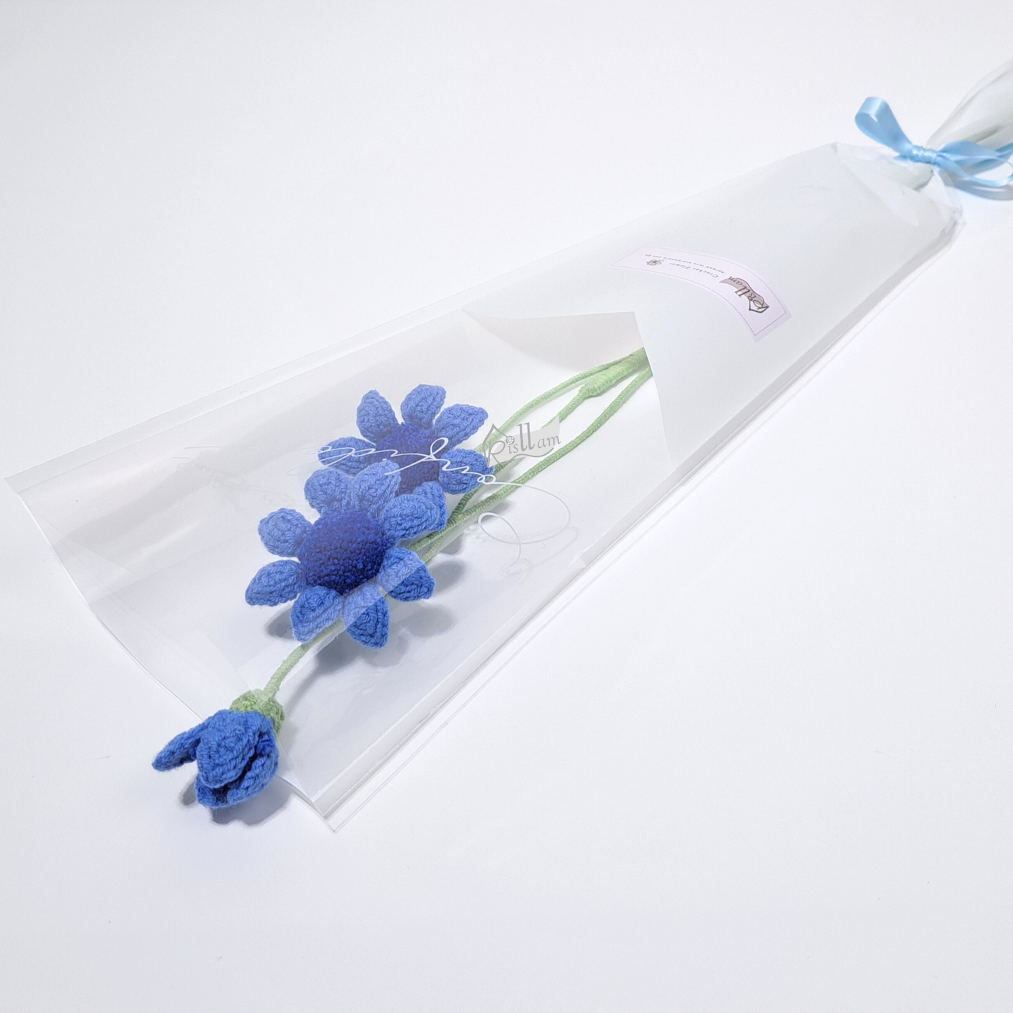 Classic African Daisies in Clear Bag- Ready to Go