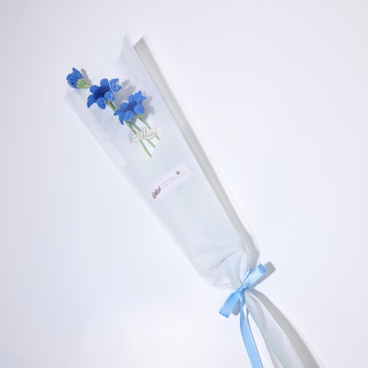 Classic African Daisies in Clear Bag- Ready to Go