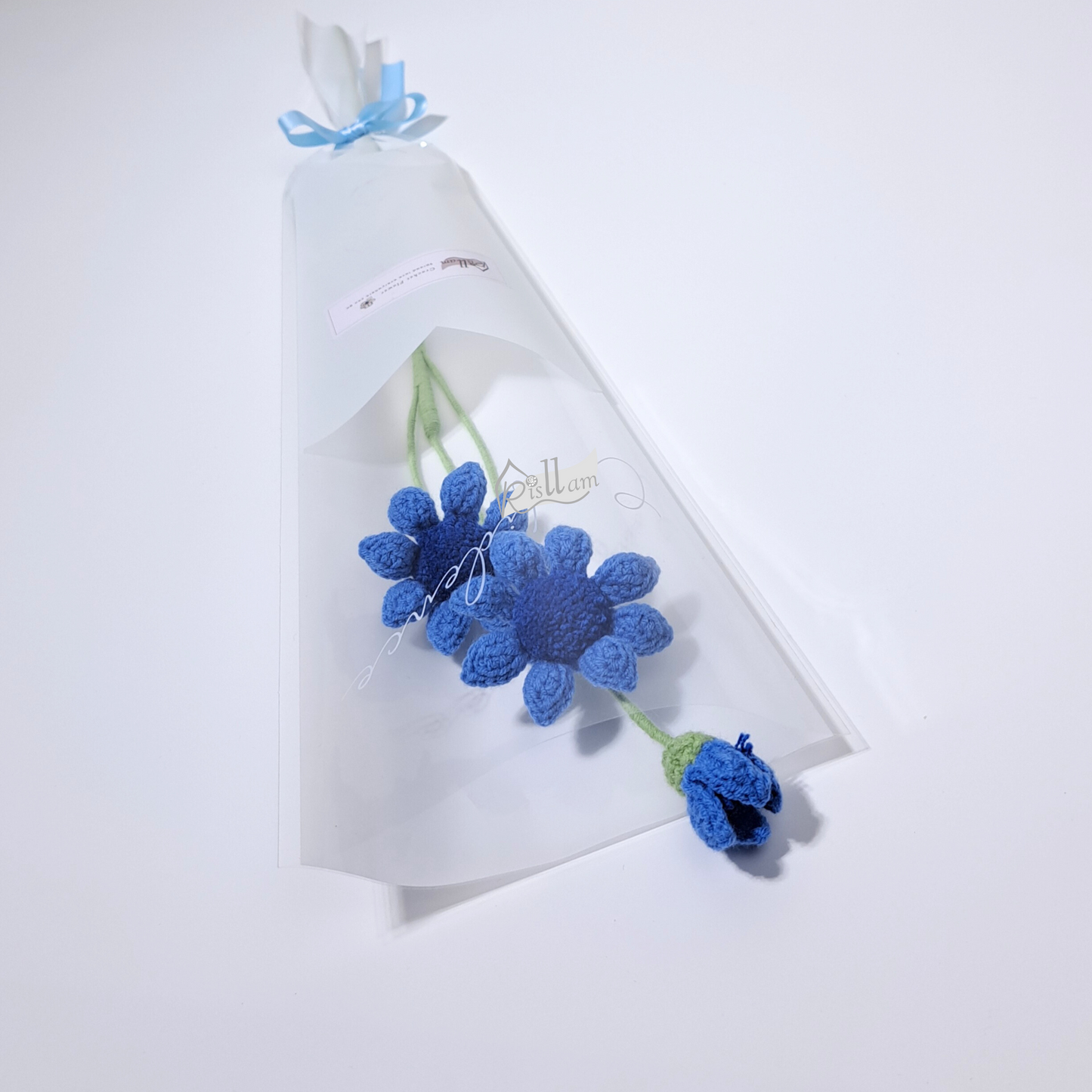 Classic African Daisies in Clear Bag- Ready to Go