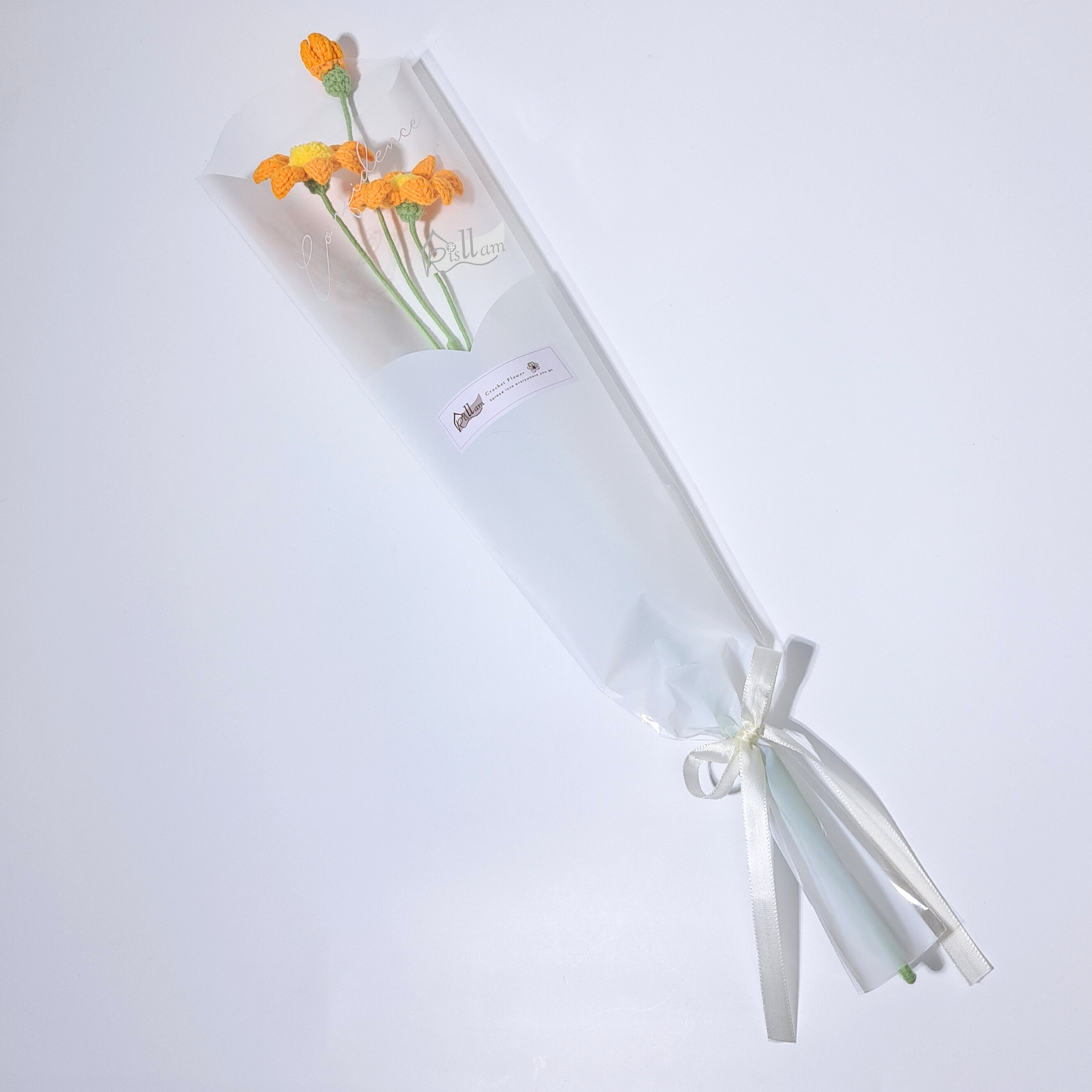 Classic African Daisies in Clear Bag- Ready to Go