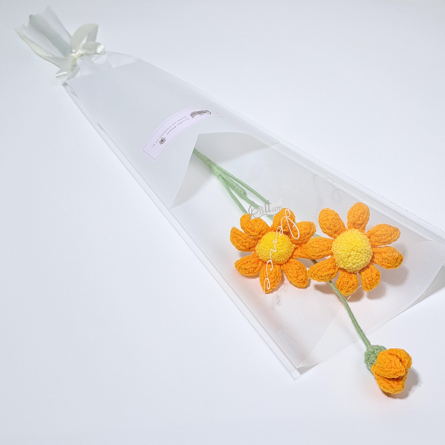 Classic African Daisies in Clear Bag- Ready to Go