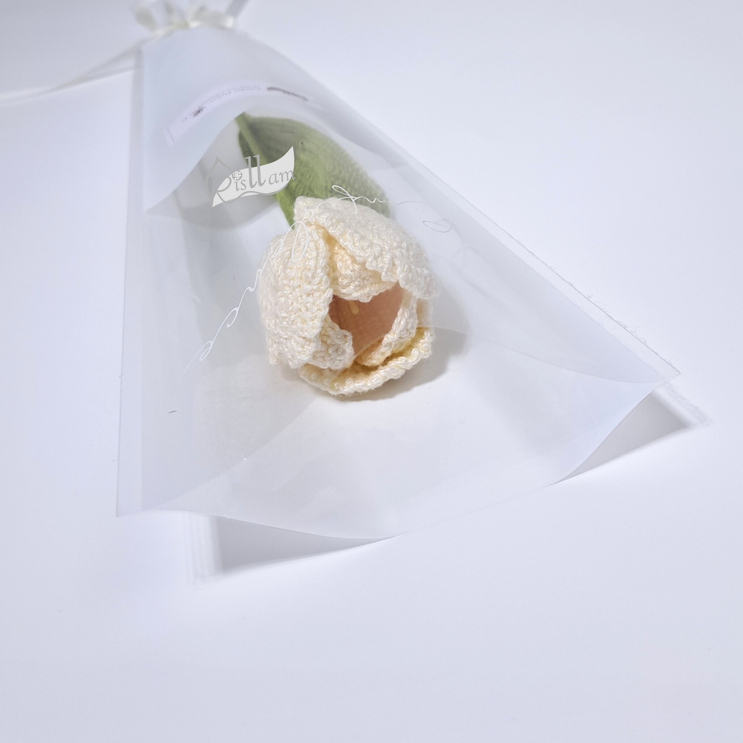 Classic Tulips 02 in Clear Gift Bag - Ready to Go
