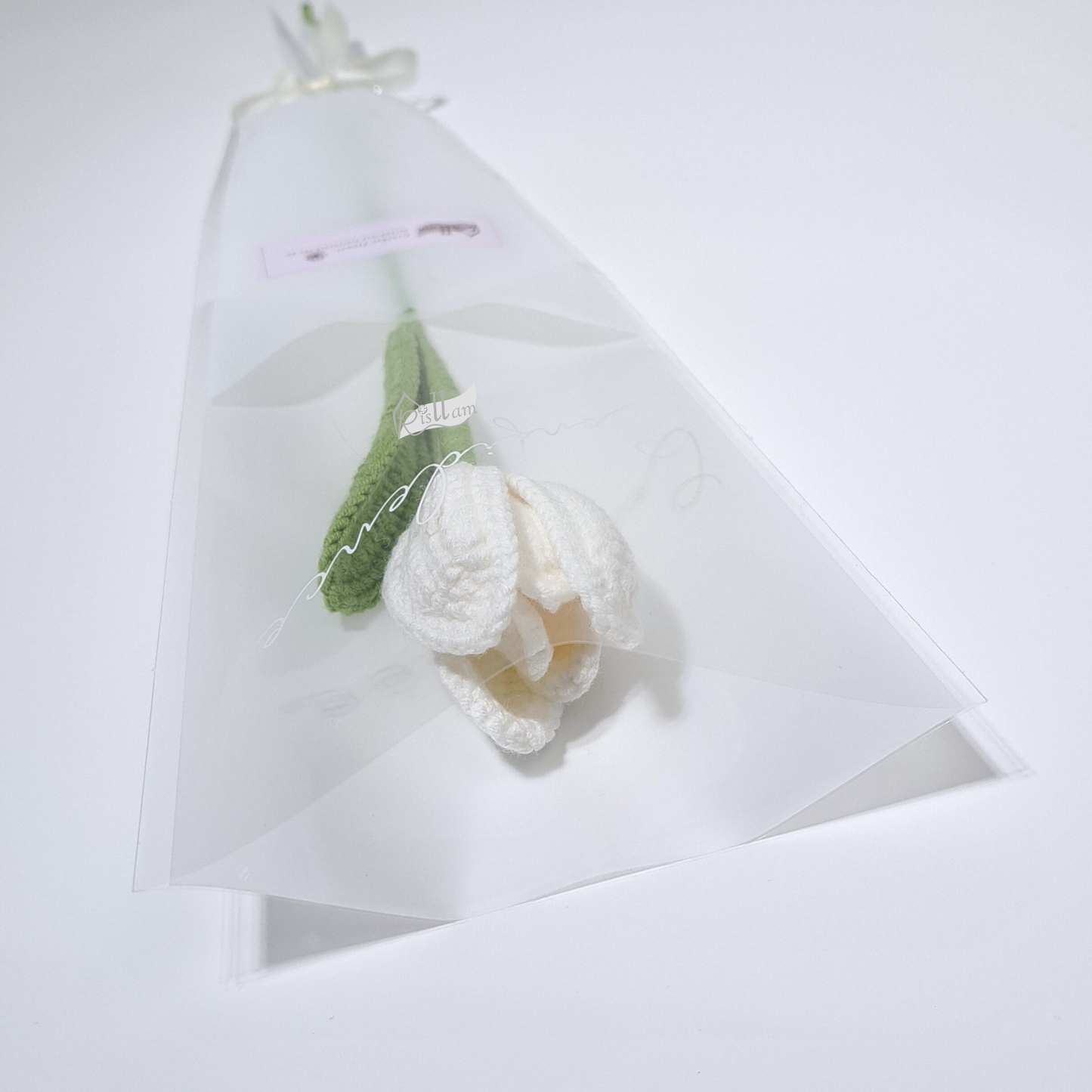 Classic Tulips 01 in Clear Gift Bag - Ready to Go