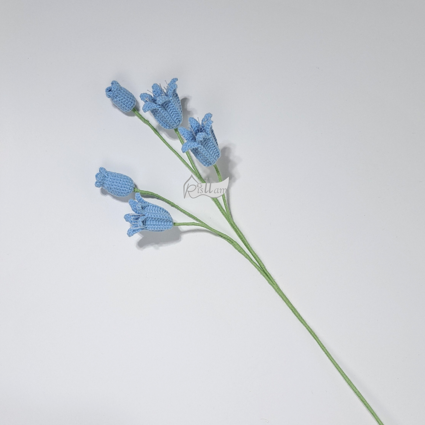Common Bluebell (fine-grade)