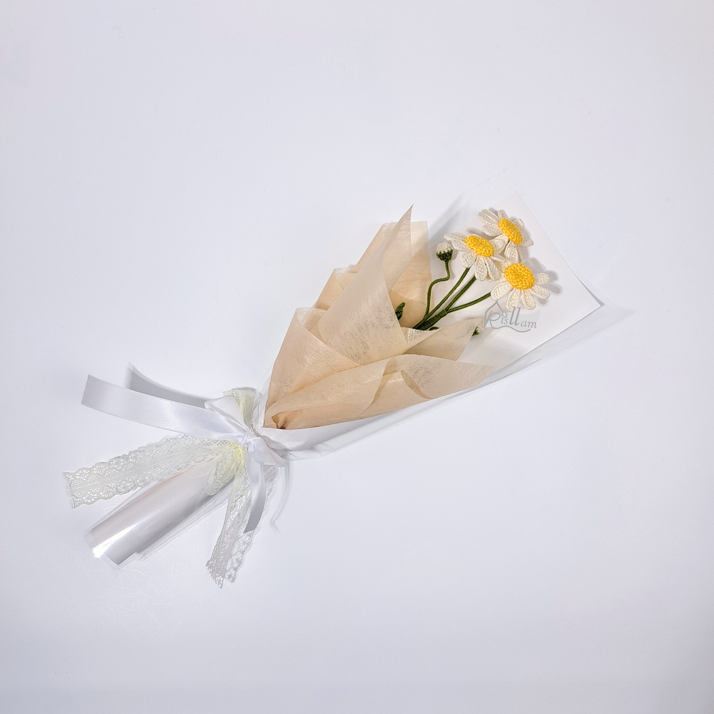 Single Common Daisy 02 Bouquet