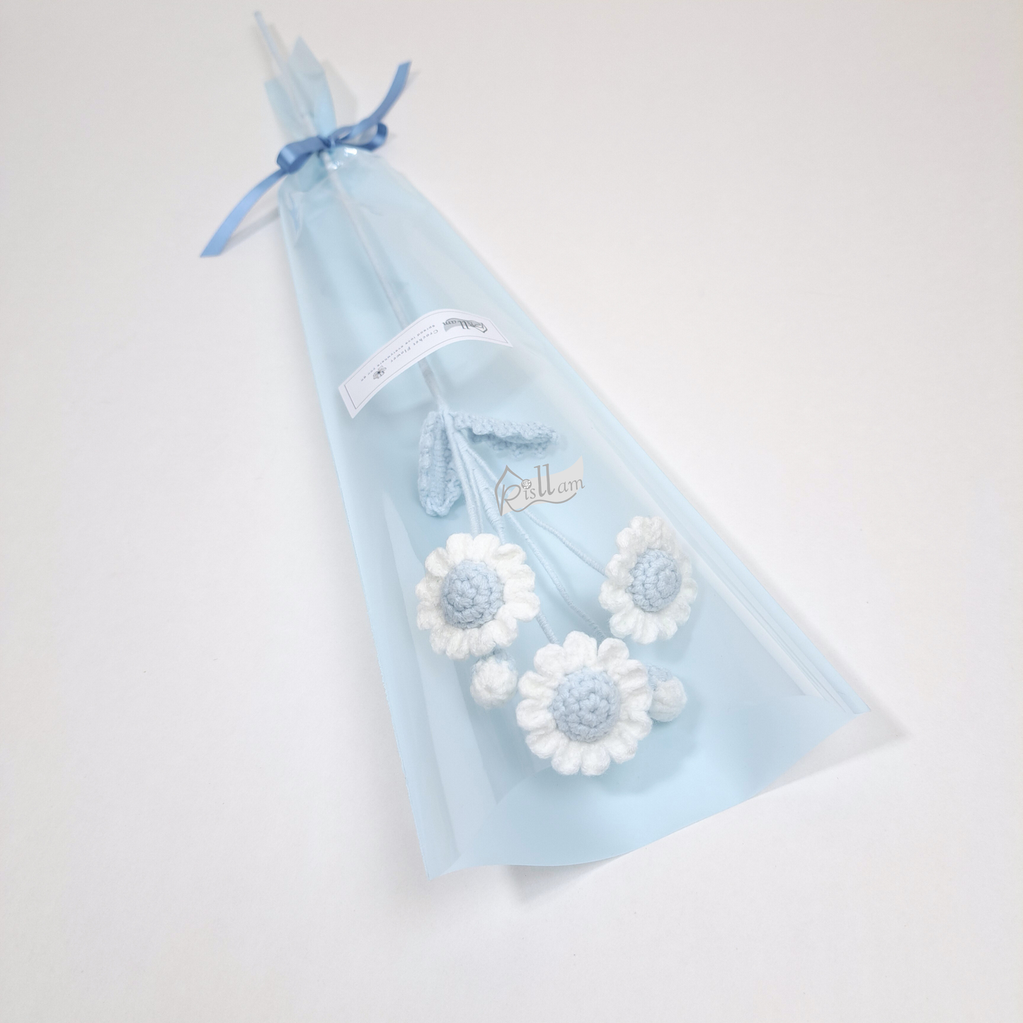 Classic Common Daisy in Clear Gift Bag - Ready to Go