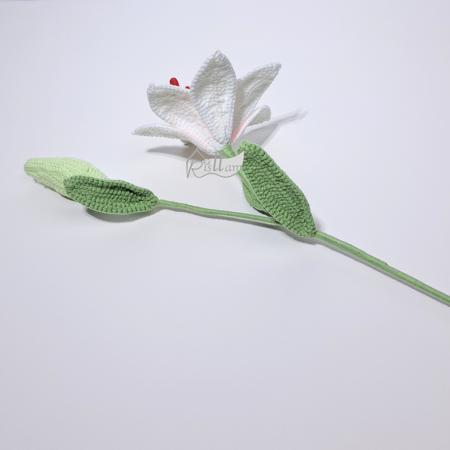 Lily 01