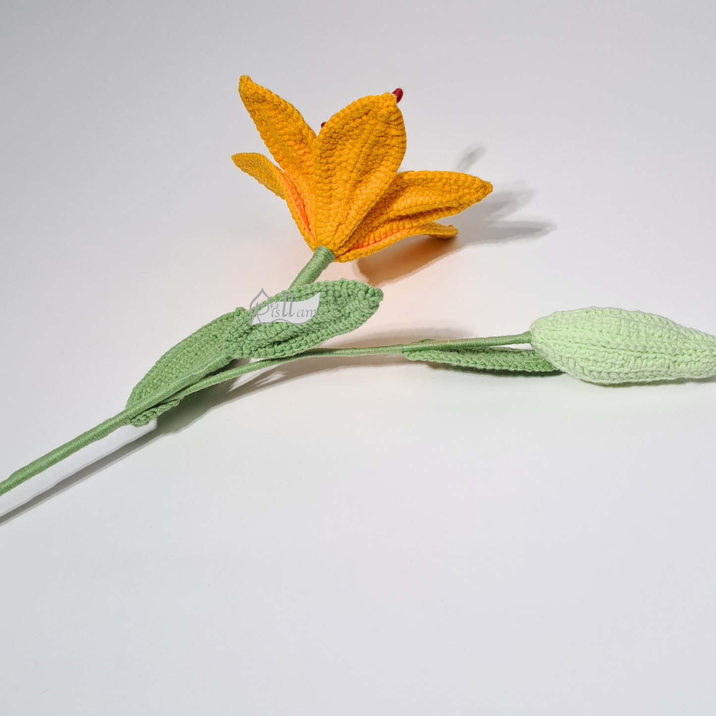 Lily 01