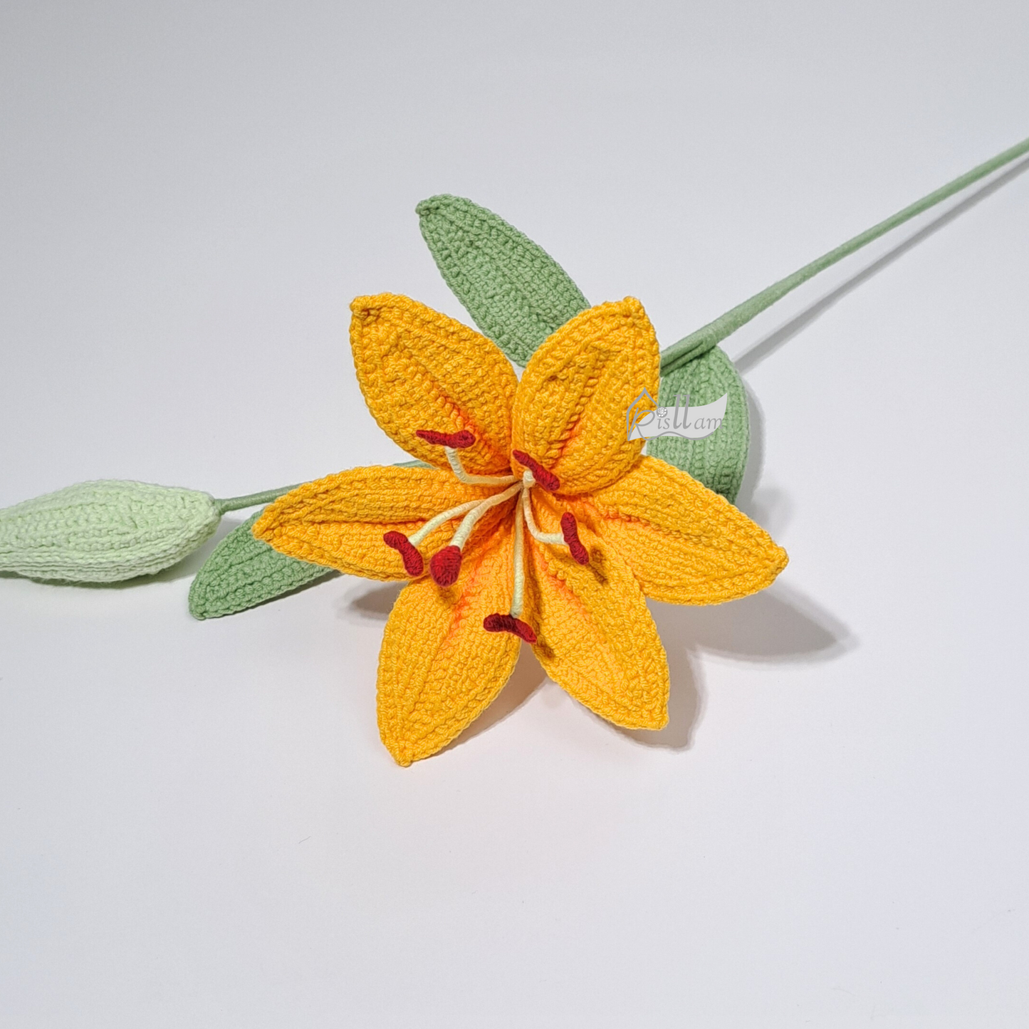 Lily 01