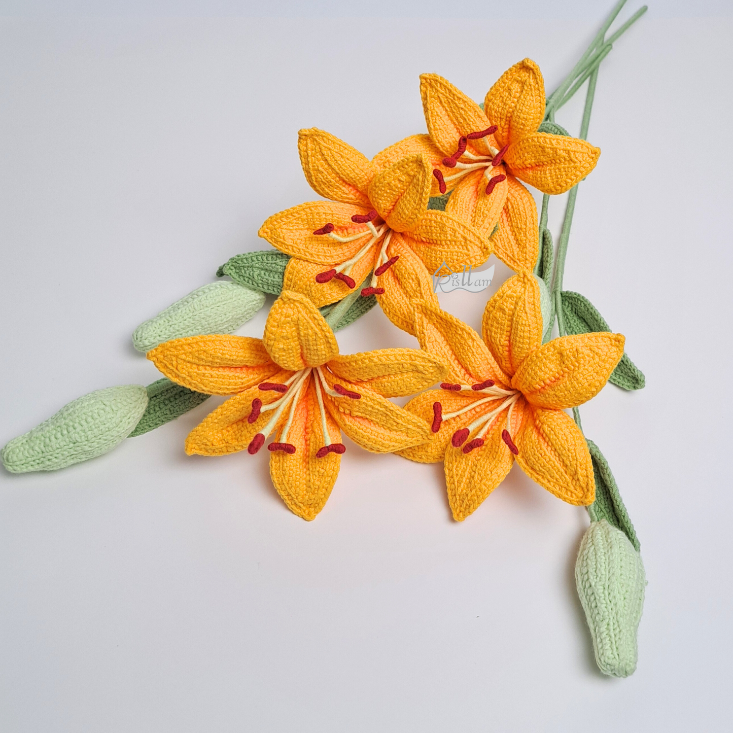 Lily 01