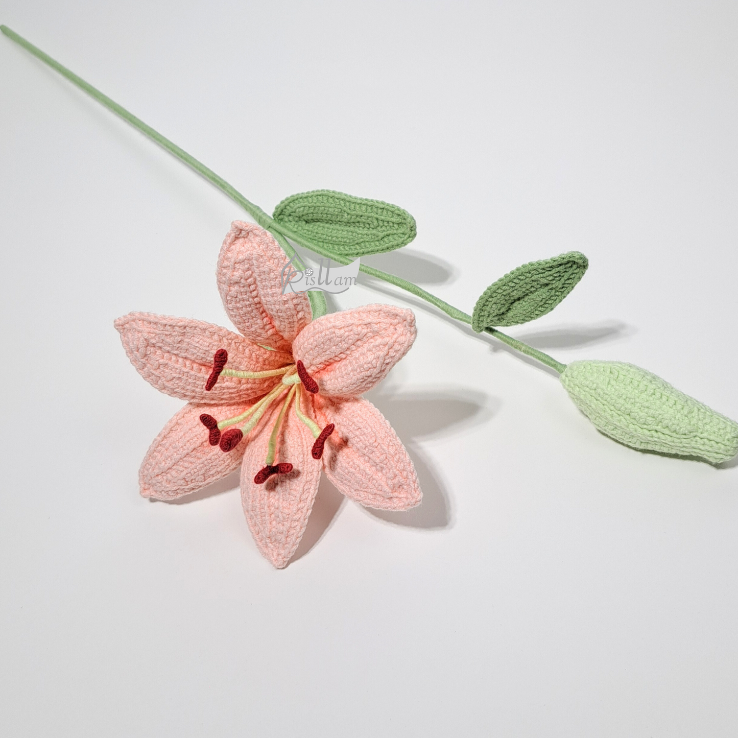 Lily 01