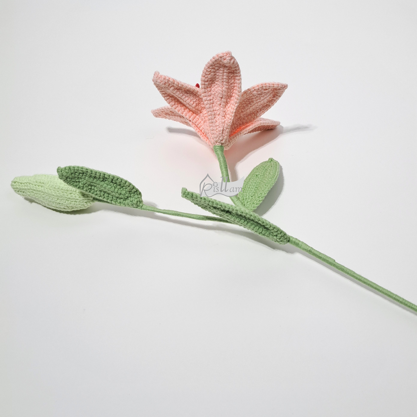 Lily 01