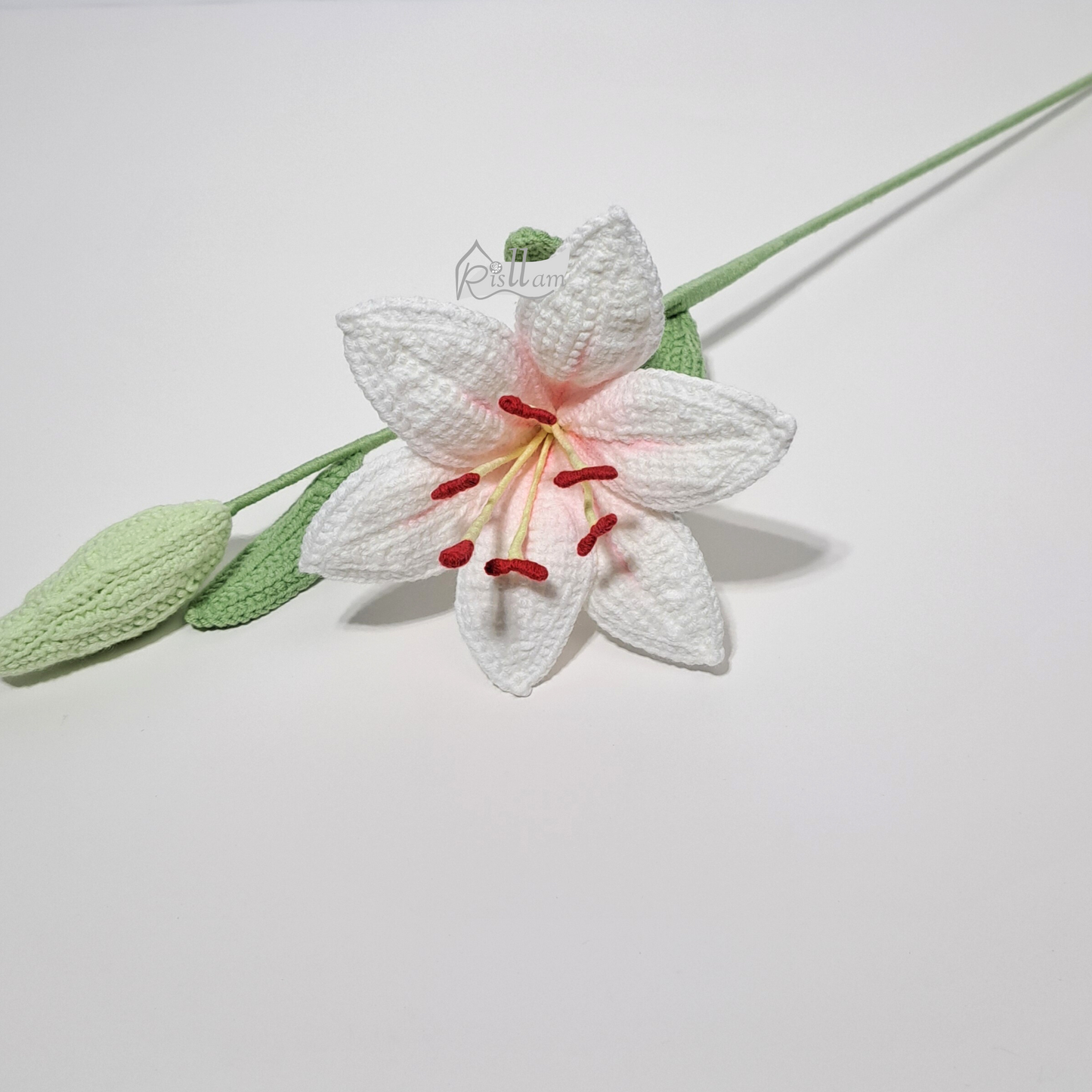 Lily 01