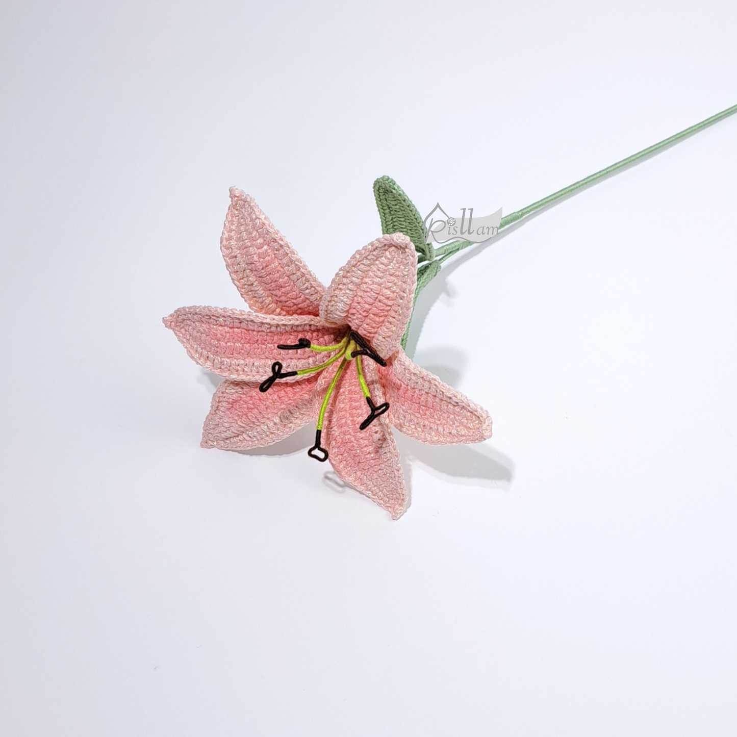 Lily 02