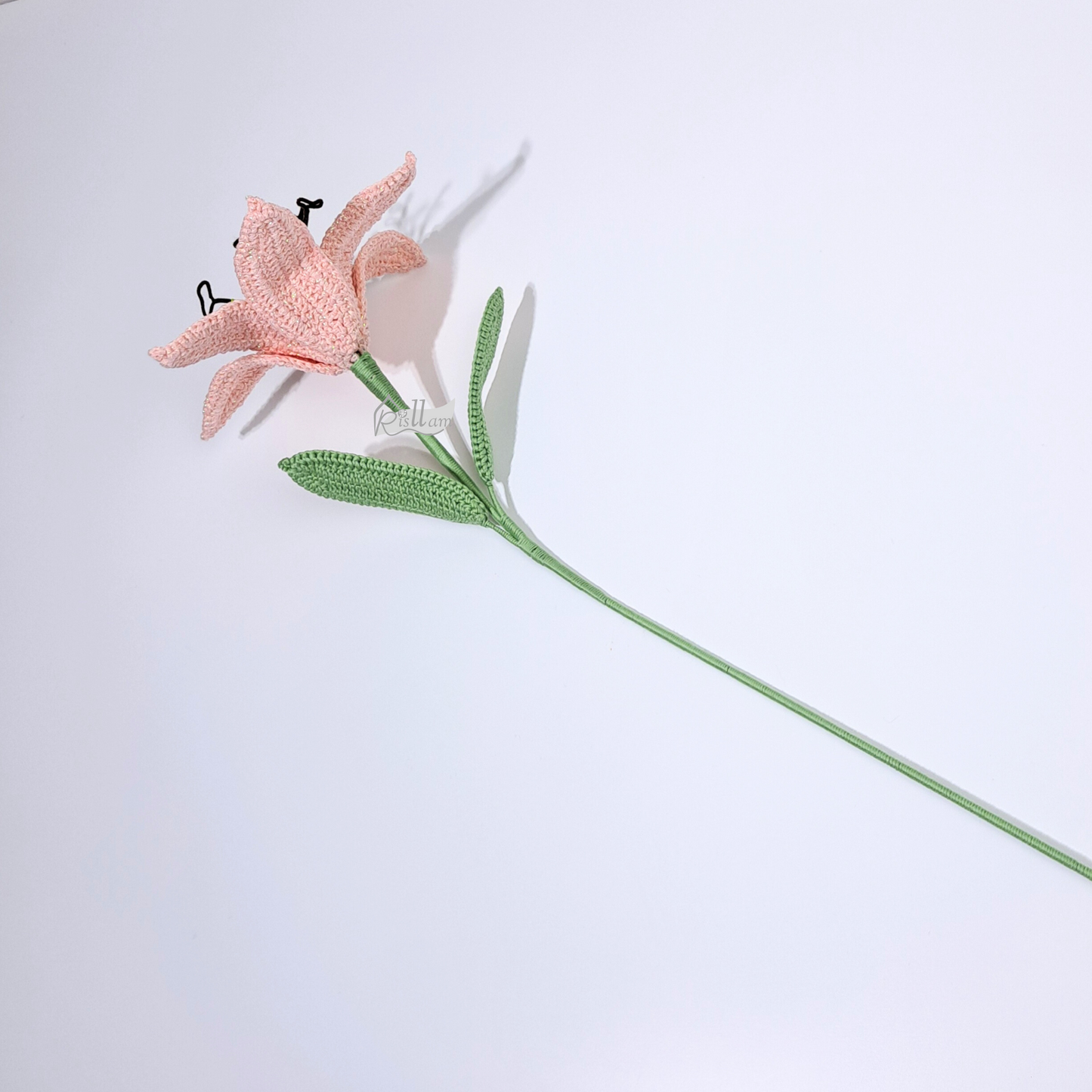 Lily 02