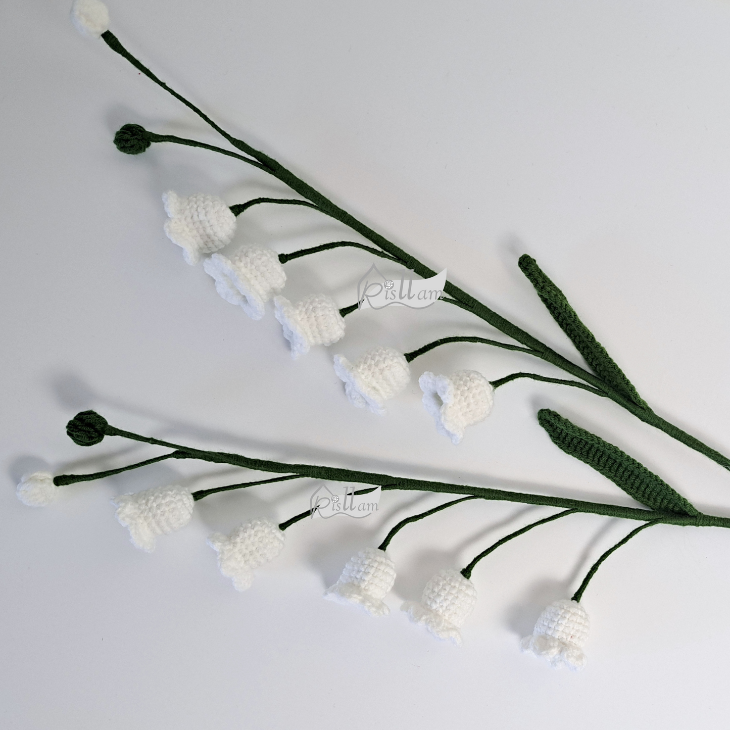 Lily of the Valley
