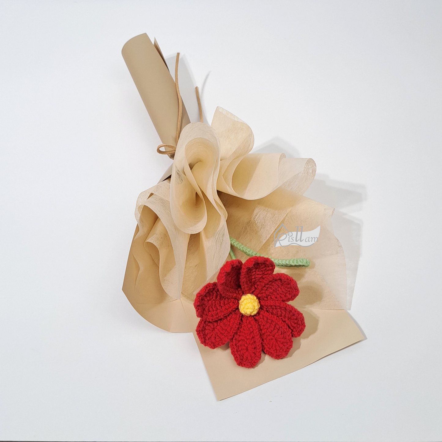 Single Garden Cosmos 02 Bouquet