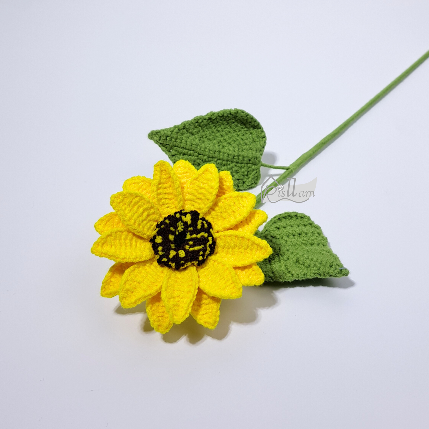Mini Sunflower 02