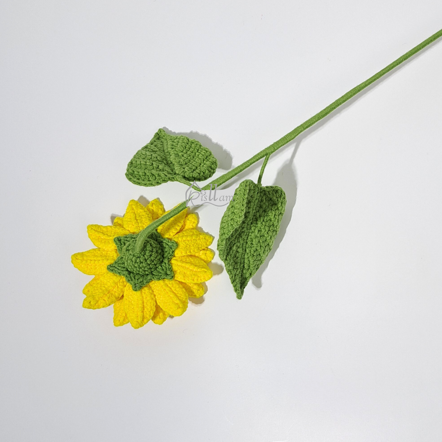 Mini Sunflower 02