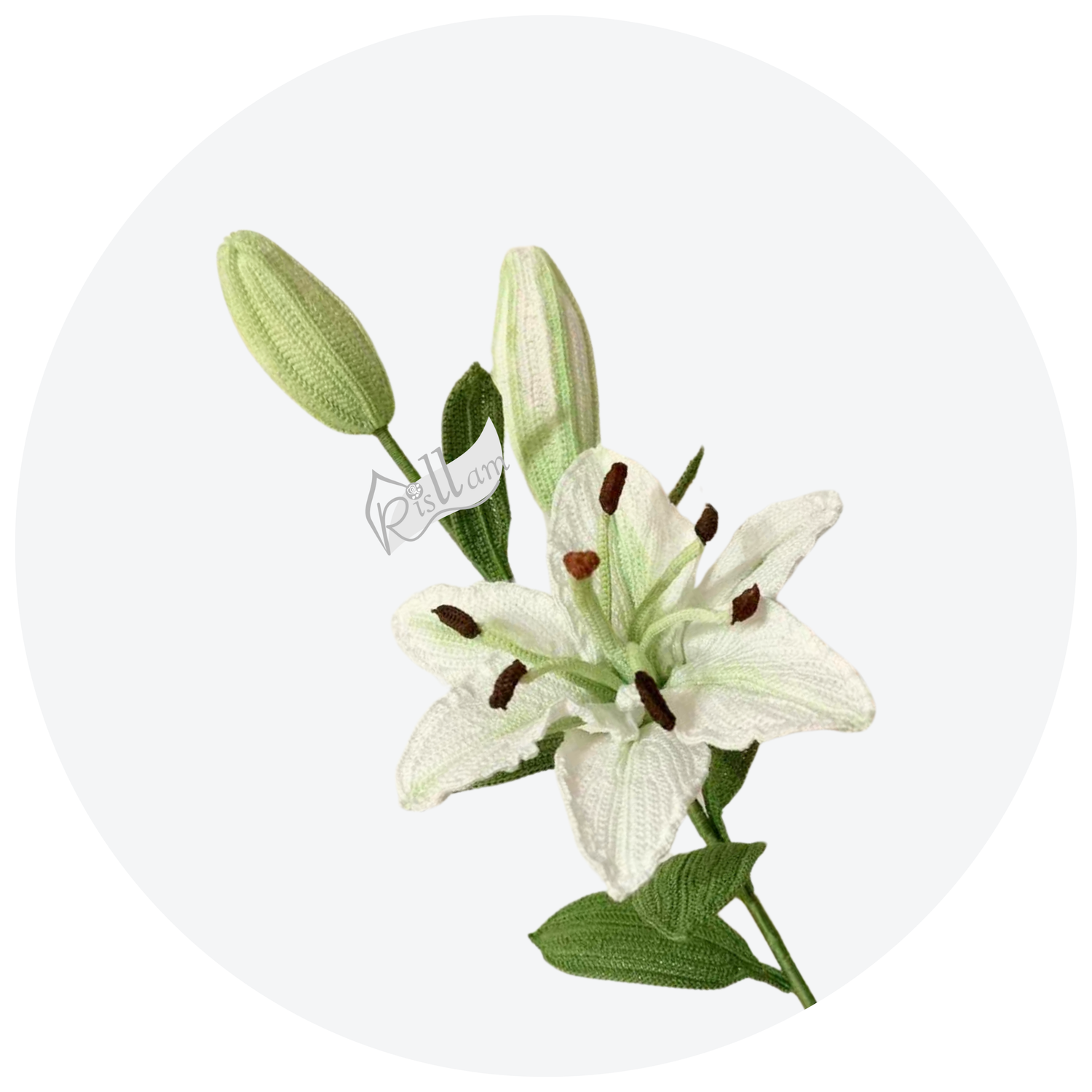 Lilies