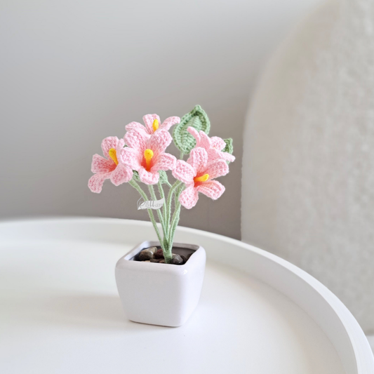 Handmade Crochet Orange Jasmine Flower Pot