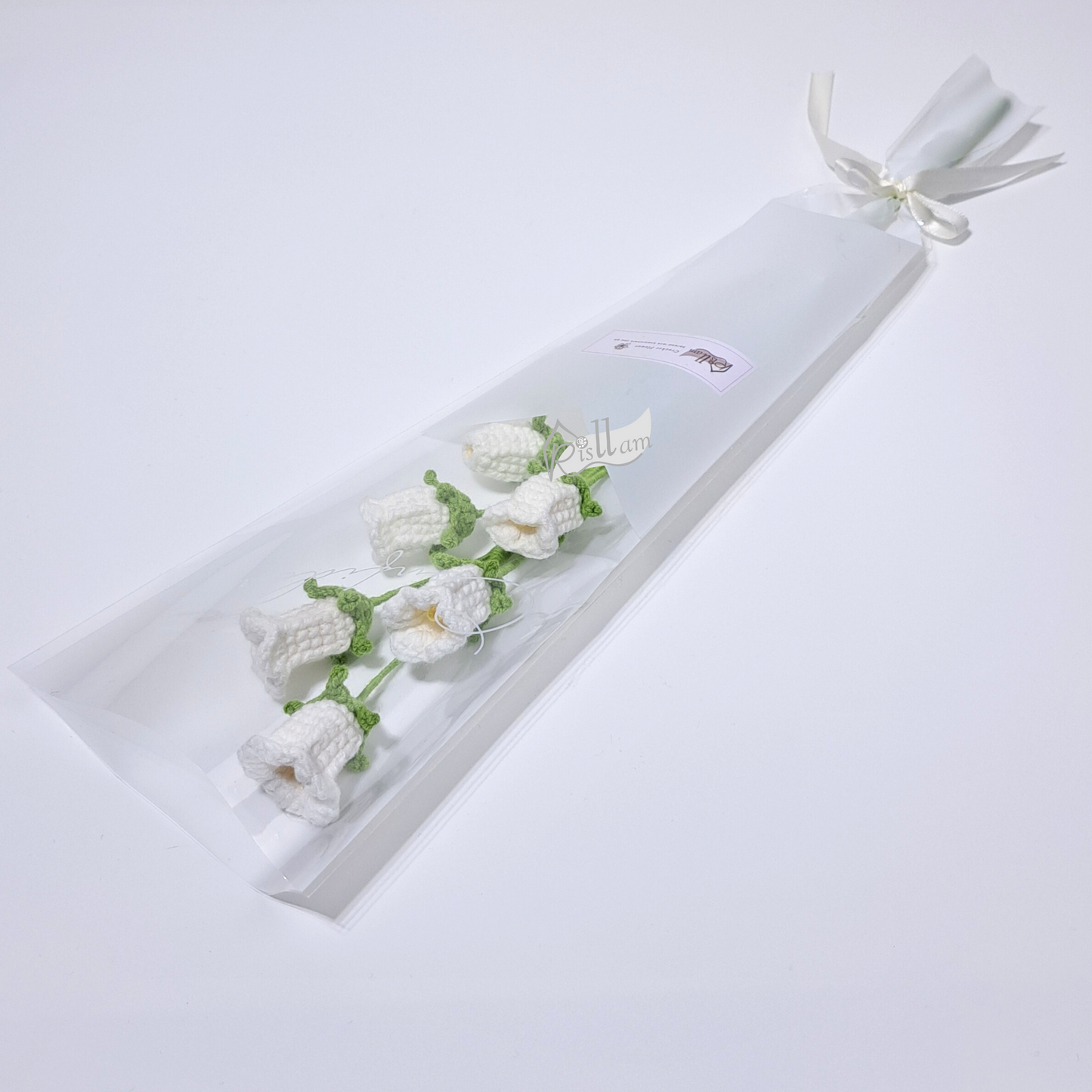 Classic Campanula in Clear Gift Bag - Ready to Go