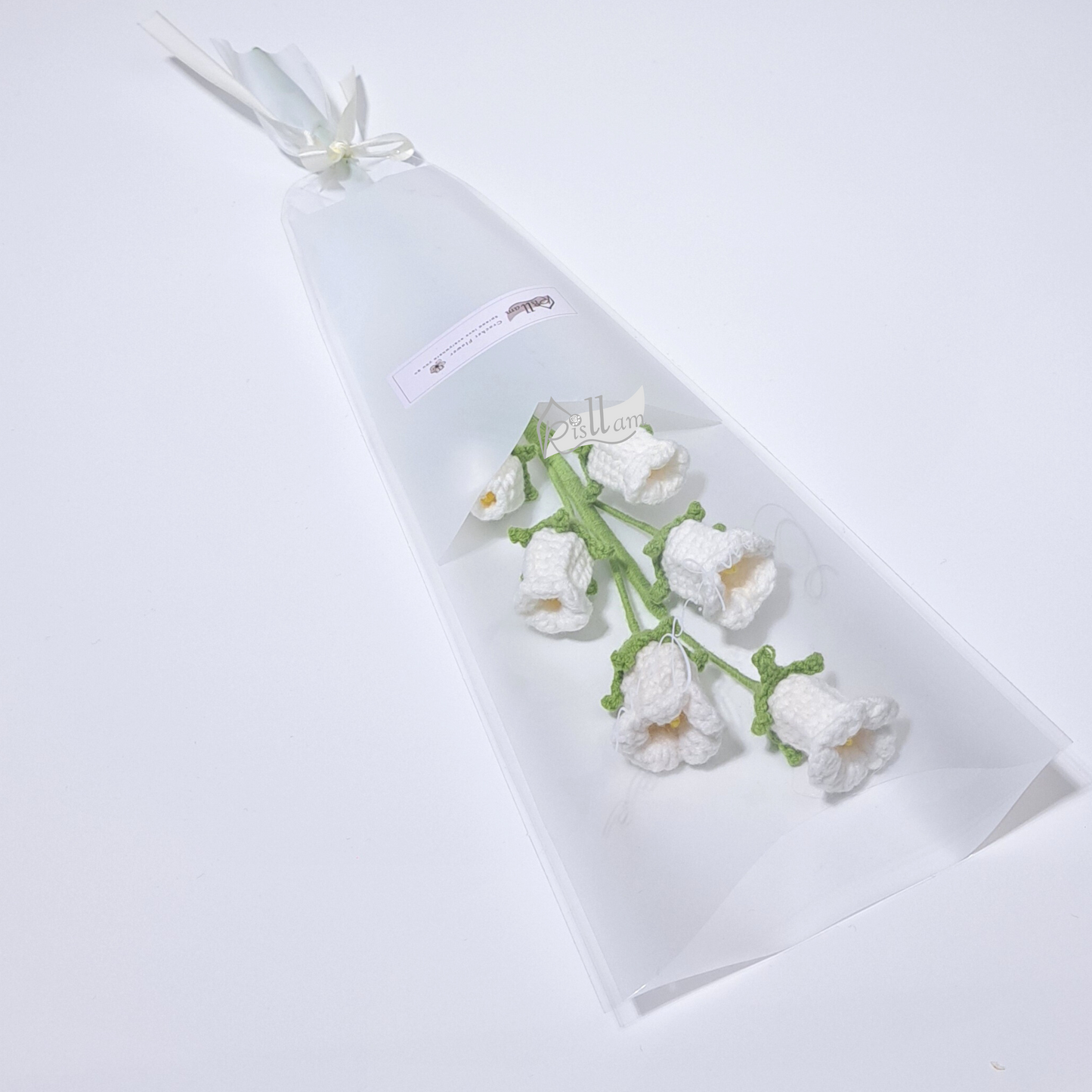 Classic Campanula in Clear Gift Bag - Ready to Go