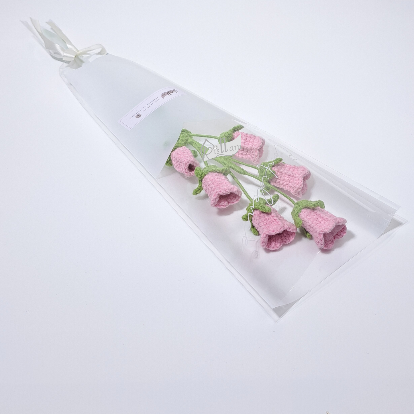 Classic Campanula in Clear Gift Bag - Ready to Go