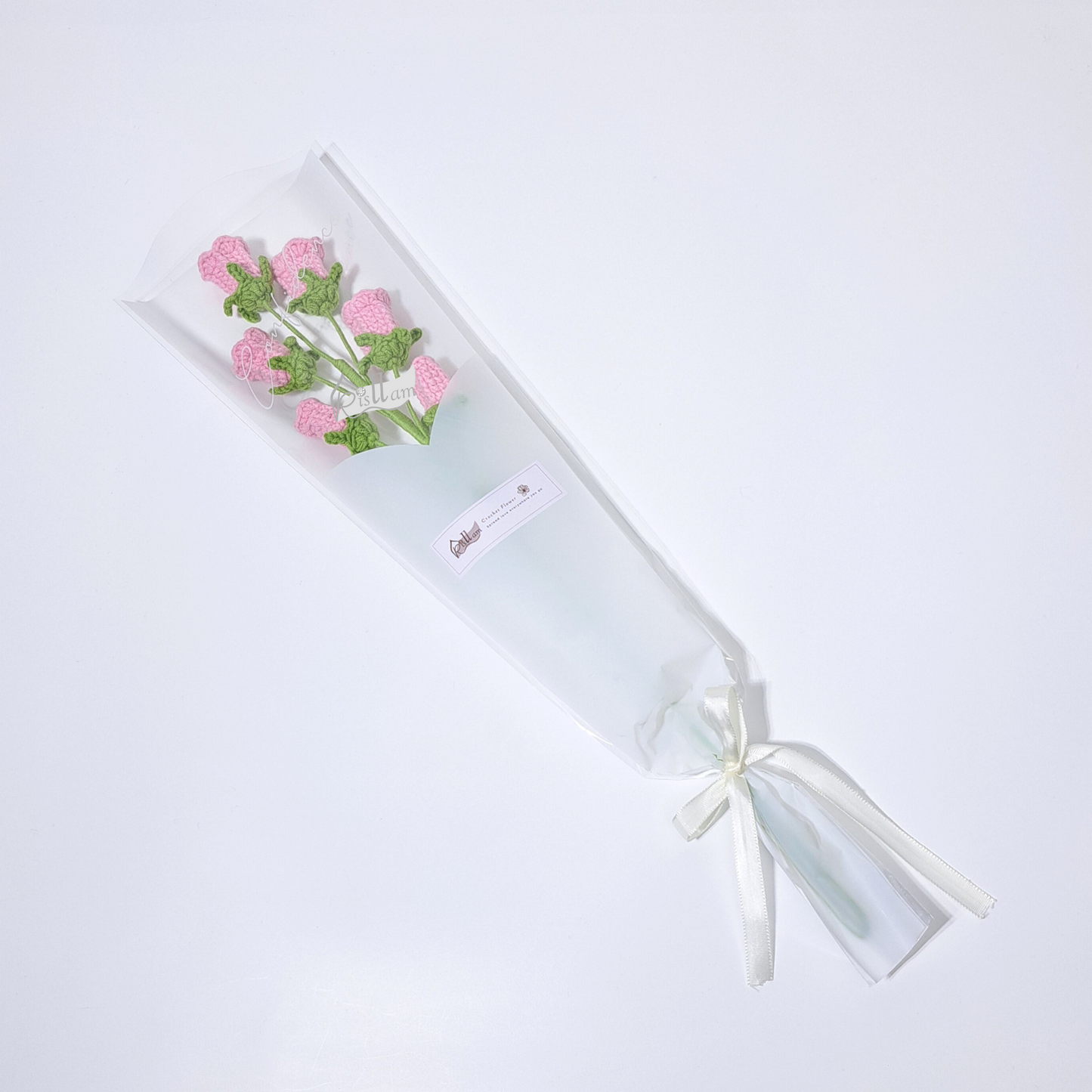 Classic Campanula in Clear Gift Bag - Ready to Go