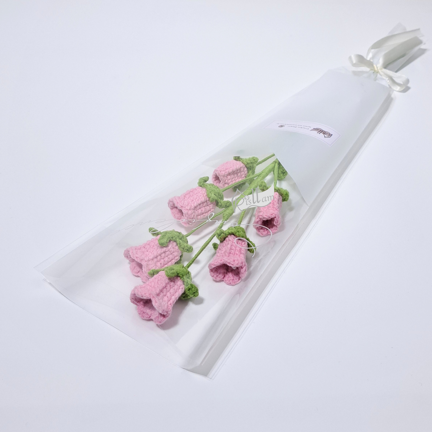 Classic Campanula in Clear Gift Bag - Ready to Go