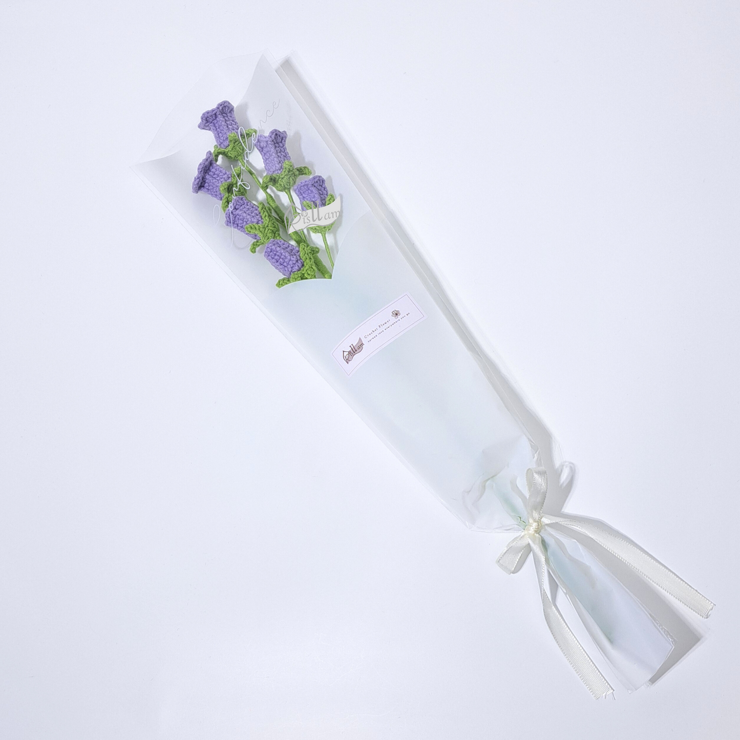 Classic Campanula in Clear Gift Bag - Ready to Go