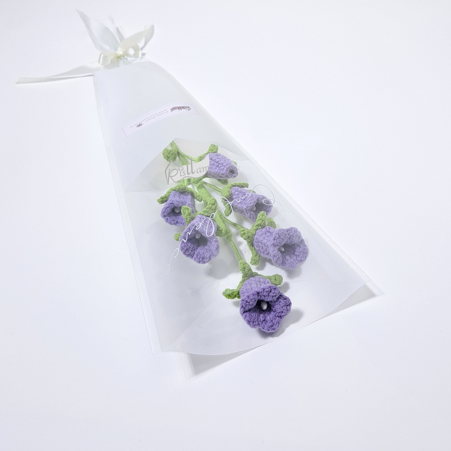 Classic Campanula in Clear Gift Bag - Ready to Go