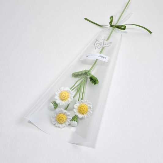 Classic Common Daisy  in Clear Gift Bag - Ready to Go