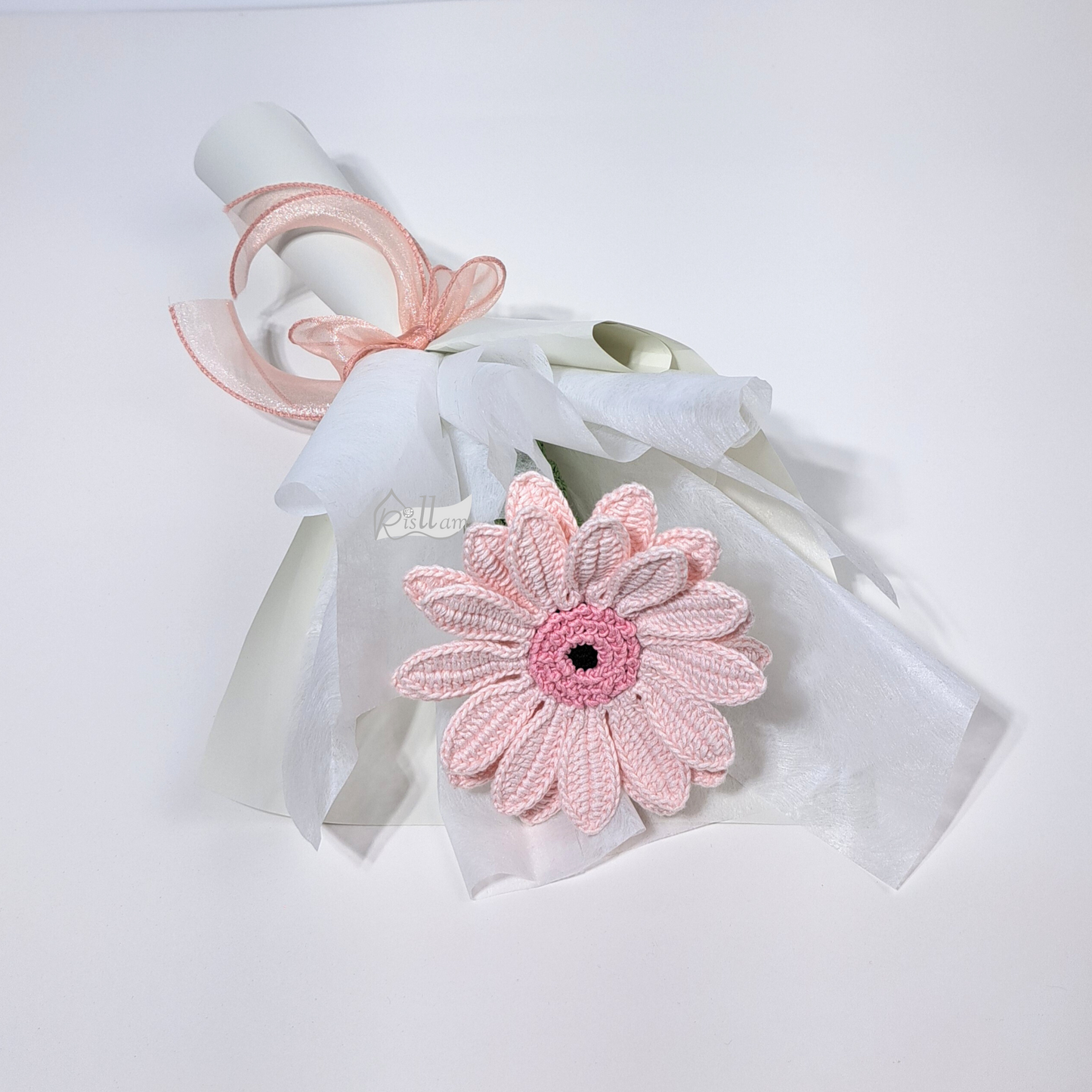 Single African Daisy 02 Bouquet - Light Pink