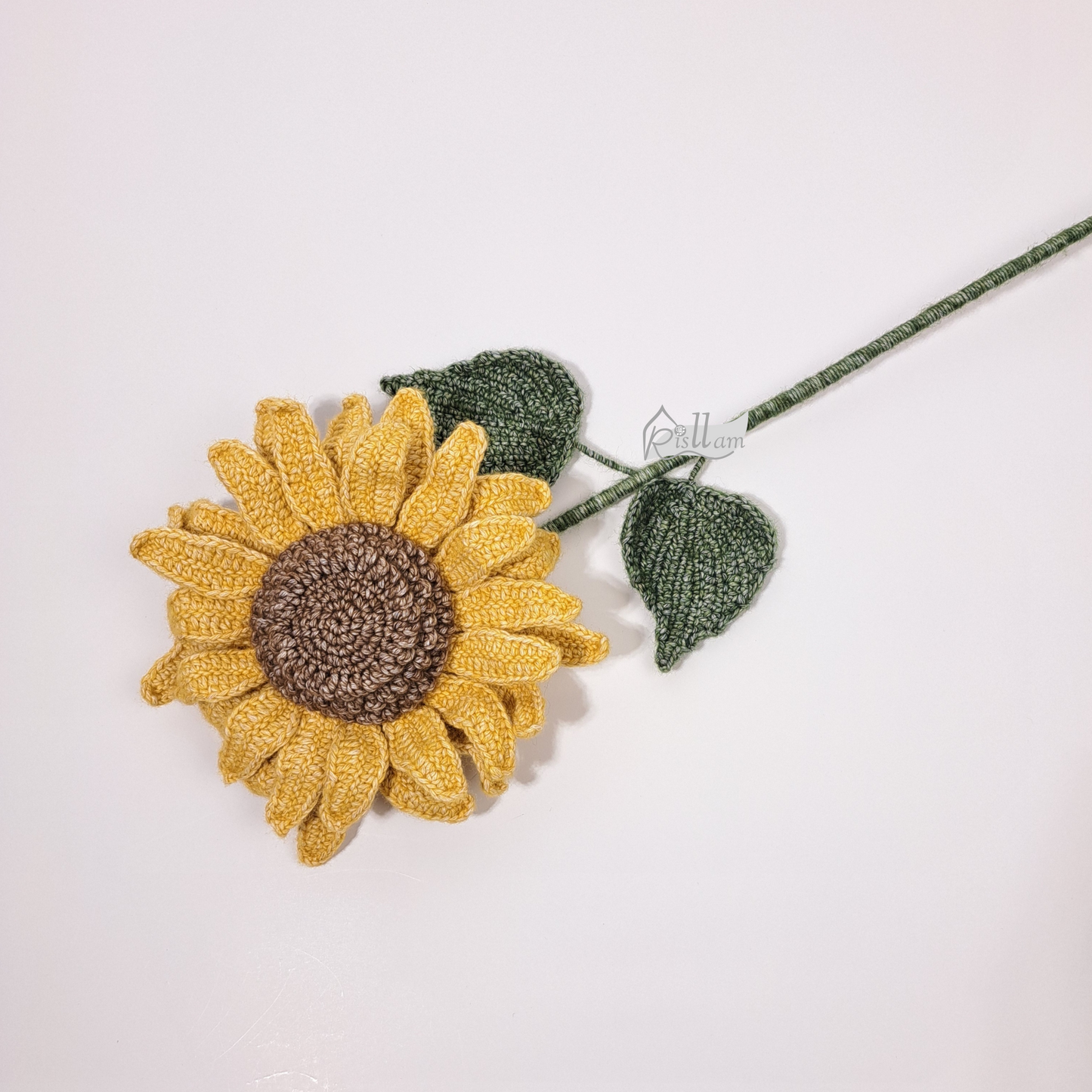 Sunflower 02