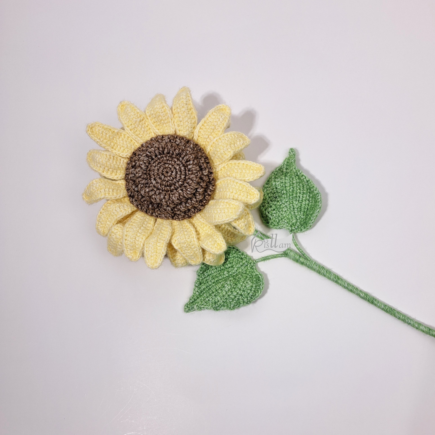 Sunflower 02