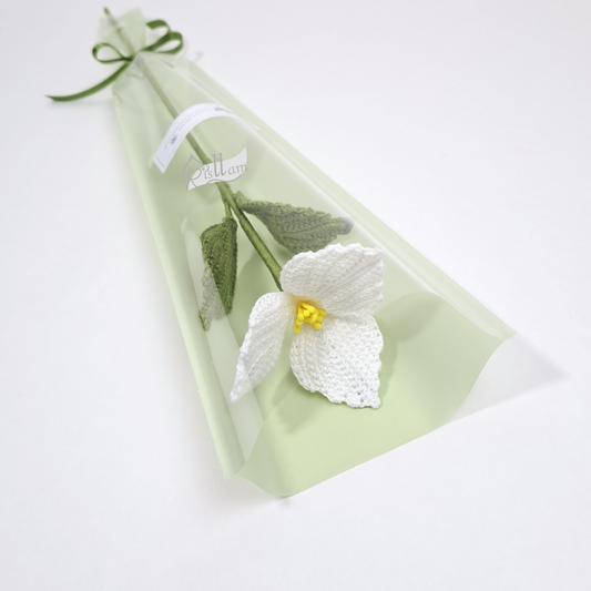 Classic Crochet Trillium in Clear Gift Bag - Ready to Go