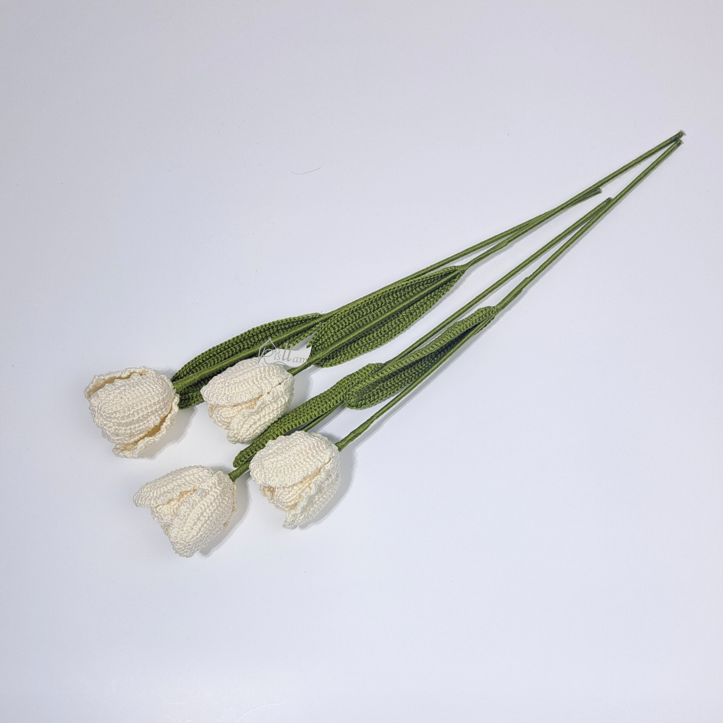 Tulips 02 - Blue and White