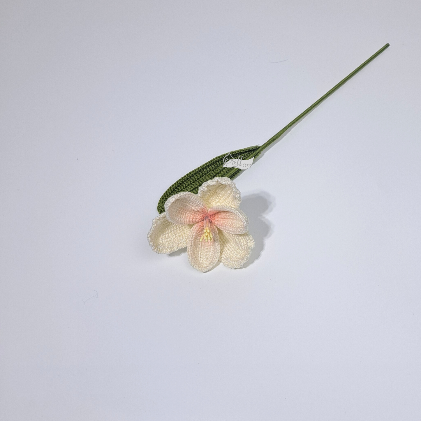 Tulips 02 - Blue and White