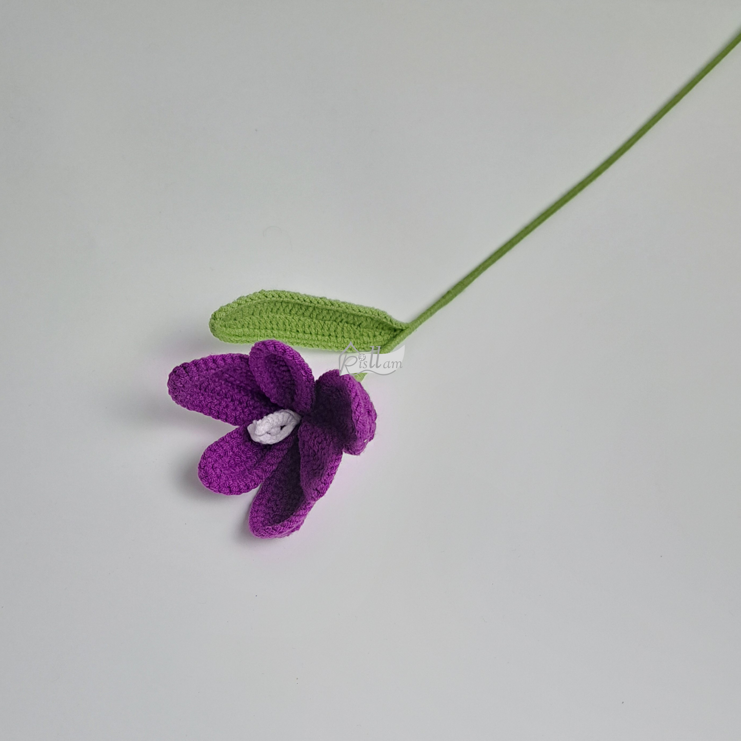 Tulips 01